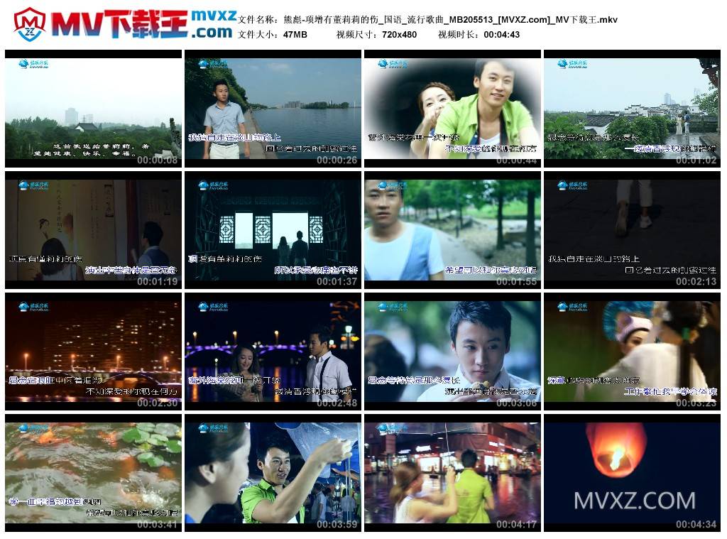 熊彪-项增有董莉莉的伤_国语_流行歌曲_MB205513